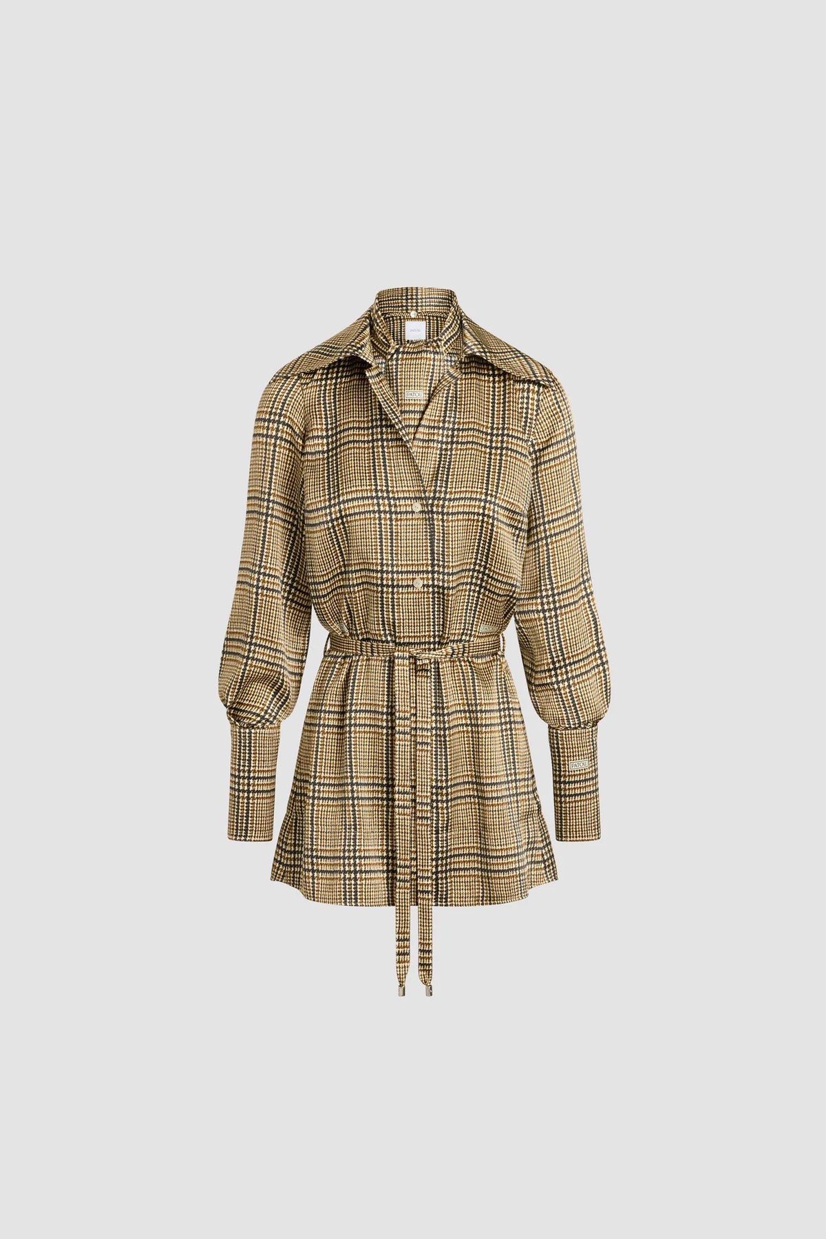 Prince Of Wales Print