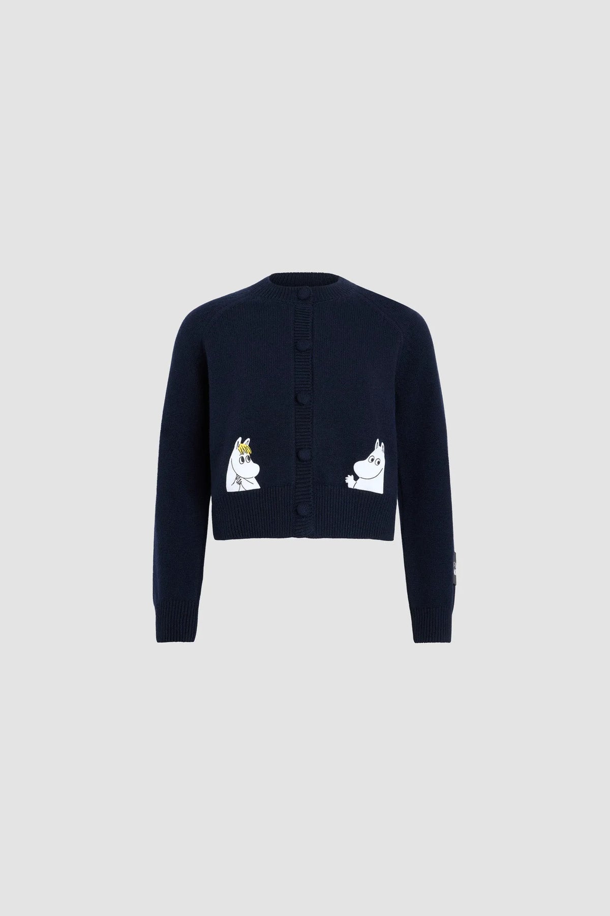 Moomin Navy
